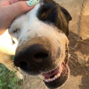 Meet your Posher, Emma